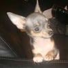 Photo de Aron