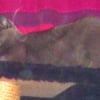 Photo de Bouba