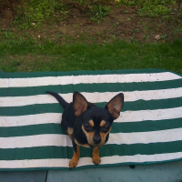 Photo de profil de Stella