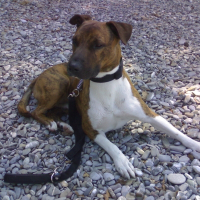 Photo de profil de Paco