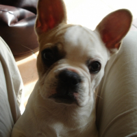 Photo de profil de Canelle