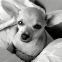 Photo de profil de Edith