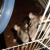 Photo de Lilou et nikita