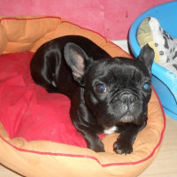 Photo de profil de Lila