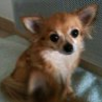 Photo de profil de Athena