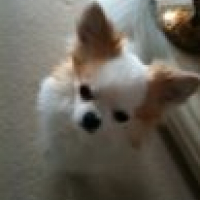 Photo de profil de Popite