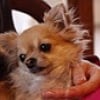 Photo de Citha