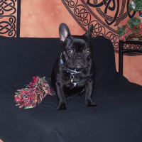 Photo de profil de Daisy