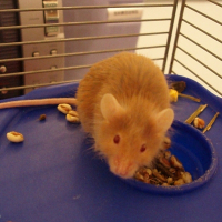 Photo de profil de Lili