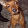 Photo de Dolly