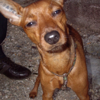 Photo de profil de Dolly