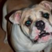 Photo de profil de Xena