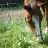 Photo de Smadoum dancer