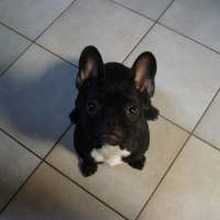 Photo de profil de Bijou