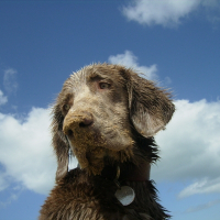 Photo de profil de Donald