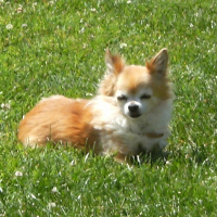 Photo de profil de Pépito