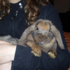 Photo de Lola
