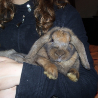Photo de profil de Lola