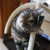 Photo de Banane 