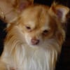 Photo de Appy