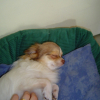 Photo de Benjy