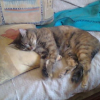 Photo de Princess