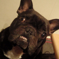 Photo de profil de Neo