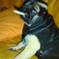 Photo de profil de Bridget