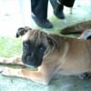 Photo de Mitzi