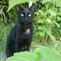 Photo de profil de Zoé