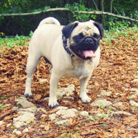 Photo de profil de Dolly