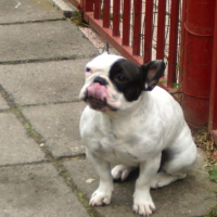 Photo de profil de Teena