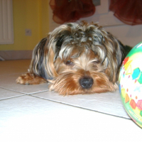Photo de profil de Charly