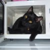 Photo de Filou