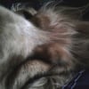 Photo de Stanley