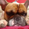 Photo de Chimene