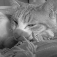 Photo de profil de Didjy