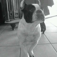 Photo de profil de Uranie