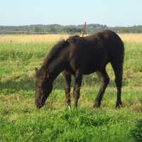 Photo de profil de Ultime