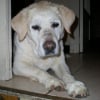 Photo de Nanou