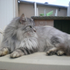 Photo de Wysky