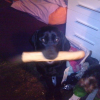 Photo de Dolly