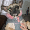 Photo de Chanel