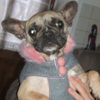 Photo de profil de Chanel