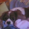 Photo de Britany