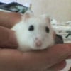 Photo de Miam-miam