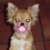 Photo de Eros