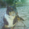 Photo de Ussy