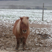 Photo de profil de Névada