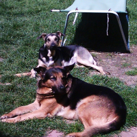 Photo de profil de Junior